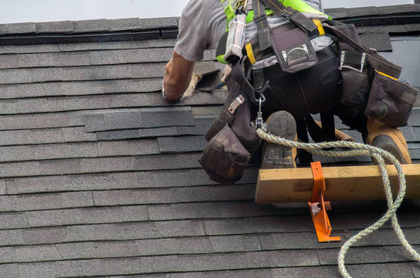 Best Storm Damage Roof Repair  in De Witt, NY